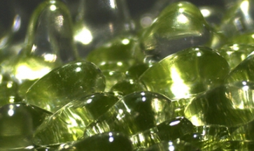 "Principle" Ultrasound Extraction Agritech Store