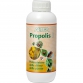 Propolis I - Natural protection from insects Liters 1