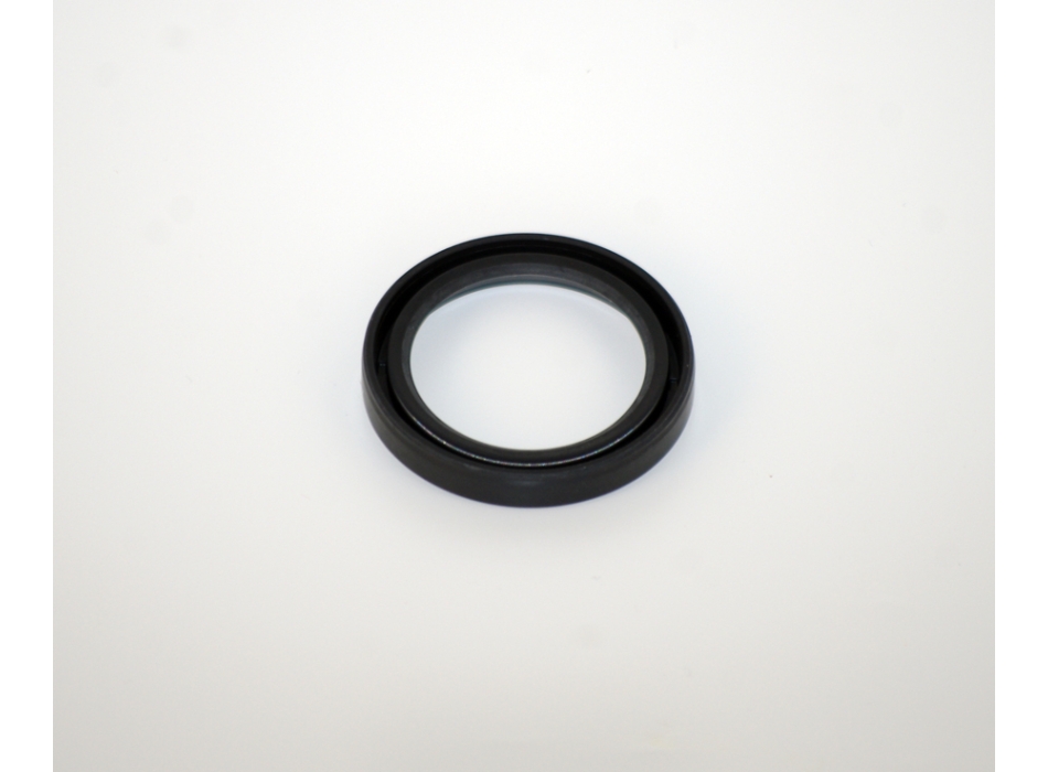 Oil seal for external motor Reber HP. 0.30 Agritech Store