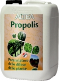 PROPOLIS - Natural phytostimulant, 5 liter tank
