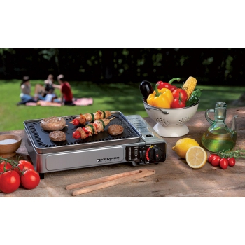 Ferraboli grill, plancha stainless Art.091A + 2 Optional Agritech Store