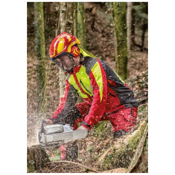 Approved PROTOS ARBORIST work helmet Agritech Store
