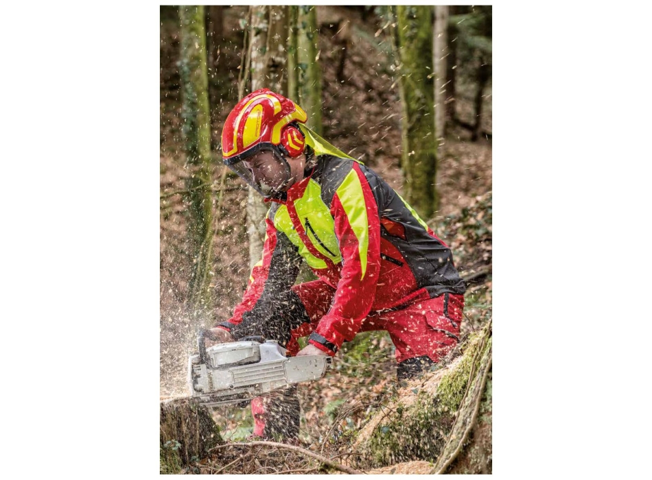 Approved PROTOS FOREST work helmet Agritech Store