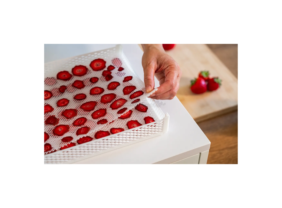 DrySilk Net – Non-Stick Nets for Tauro Home Dryers Agritech Store