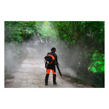 Echo PB-580 - Two-stroke petrol backpack blower Agritech Store