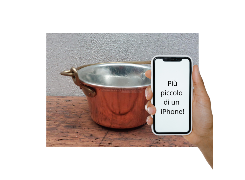 Mini copper pots Agritech Store