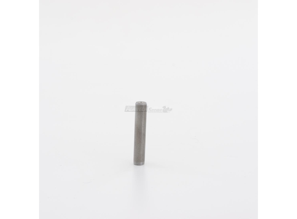 small motor spindle motor for Reber Agritech Store