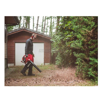 Shindaiwa EB252 - 2-stroke petrol blower Agritech Store