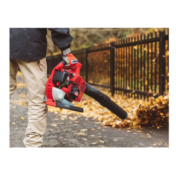 Shindaiwa EB262 - 2-stroke petrol blower Agritech Store