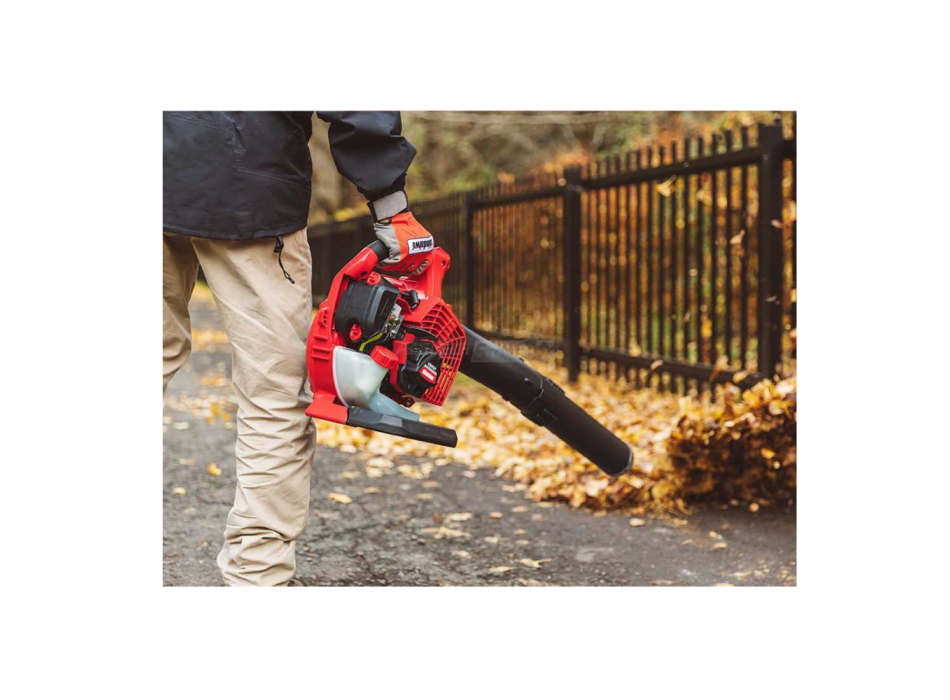 Shindaiwa EB262 - 2-stroke petrol blower Agritech Store