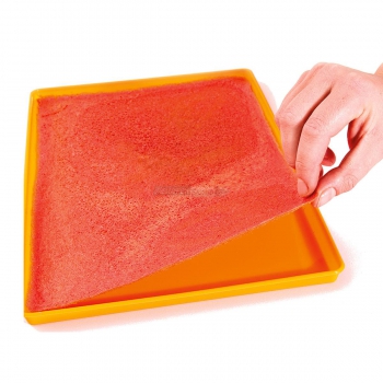 SiliDrop – Non-Stick Platinum Silicone Trays for Home Dehydrators Agritech Store
