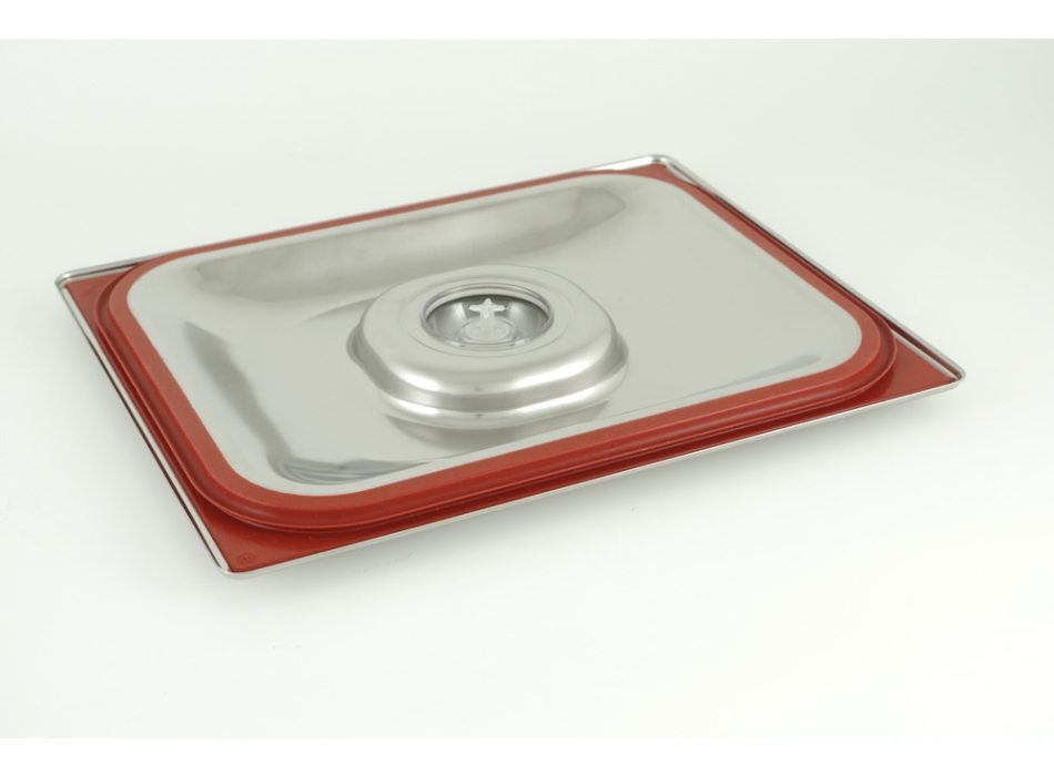 Heißer Stahl H 100 1/2 Gastronorm-Vakuumgaren Agritech Store