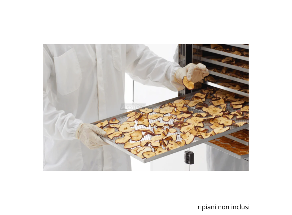 B.Master BASE – Professioneller 14 m² Trockner für Obst, Gemüse und Kräuter Agritech Store