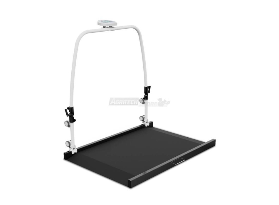 RW 2.0 Wunder Personenwaage Agritech Store