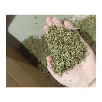 GT Gold Xs Blattentferner und Schäler Agritech Store