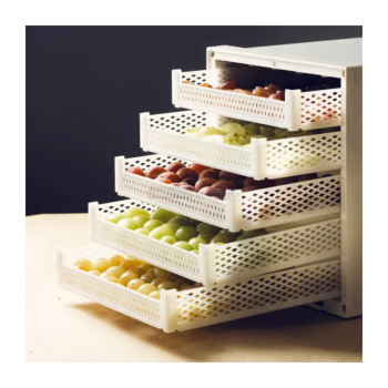 Set mit 5 Kunststoffkörben für Biosec-Dörrgeräte – Kompatibel mit Domus und Silver Agritech Store