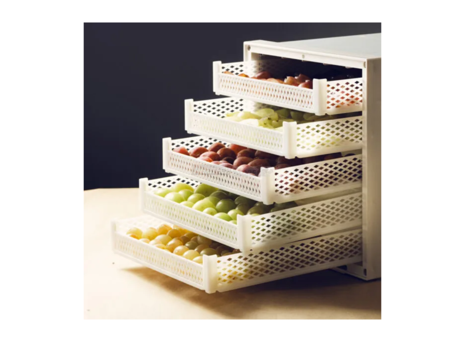 Juego de 5 cestas de plástico para deshidratadores Biosec – Compatible con Domus y Silver Agritech Store