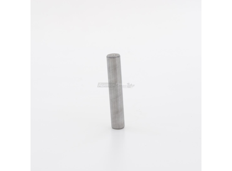 wielki pin silnika do silnika Reber Agritech Store