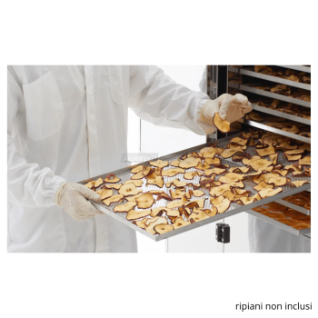 B.Master BASE – Uscător profesional de 14 m² pentru fructe, legume și ierburi aromatice Agritech Store