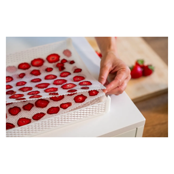 DrySilk Net – Plase antiaderente pentru uscătoare de rufe Tauro Home Agritech Store