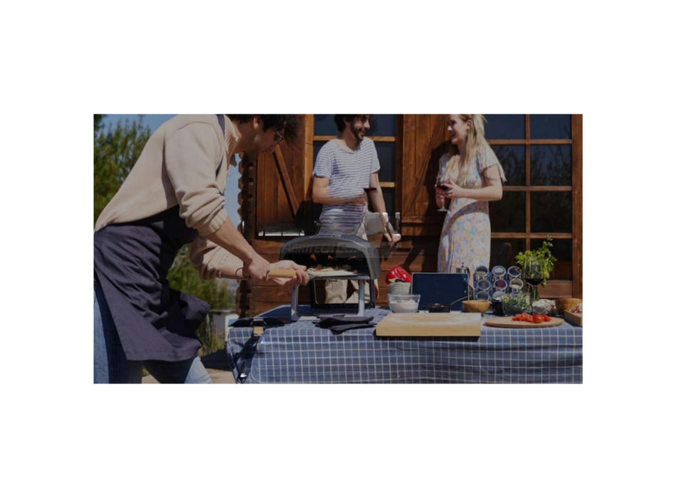 Cuptor de pizza pe gaz  Agritech Store